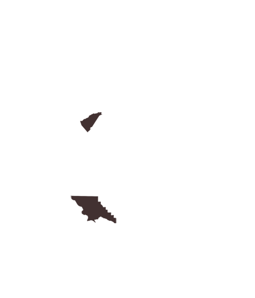 30 to 35% Truancy Rates