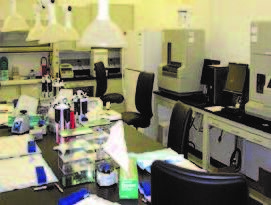 cci Los Angeles DNA Lab