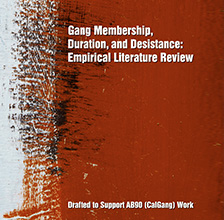 Portfolio - CalGang Literature Review